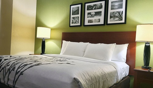Habitación estándar, 1 cama de matrimonio grande, no fumadores