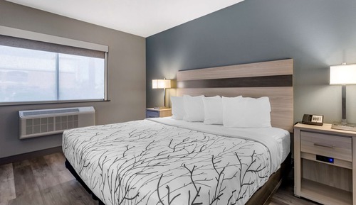 Habitación estándar, 1 cama de matrimonio, accesible para personas con discapacidad (Pet Friendly)