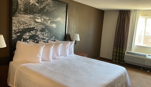 Habitación estándar, 1 cama de matrimonio grande, accesible para personas con discapacidad