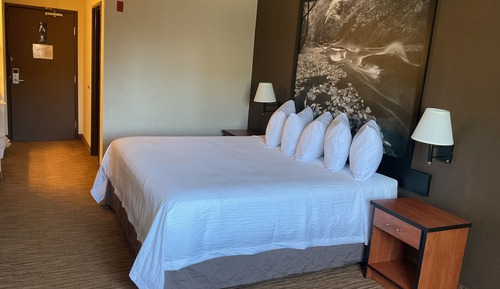 Habitación estándar, 1 cama de matrimonio grande