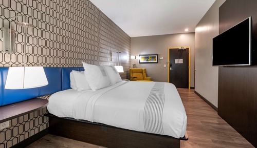 Habitación estándar, 1 cama de matrimonio grande, no fumadores, frigorífico