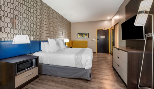 Habitación estándar, 1 cama de matrimonio grande, no fumadores (Walk-in Shower)