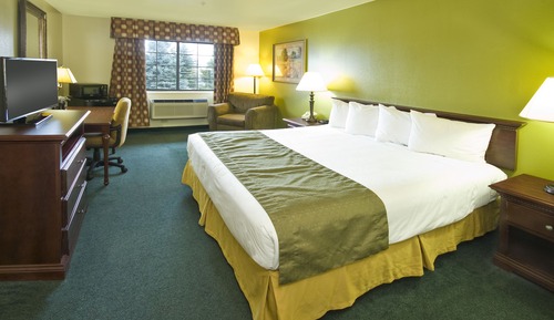Habitación estándar, 1 cama de matrimonio grande, no fumadores