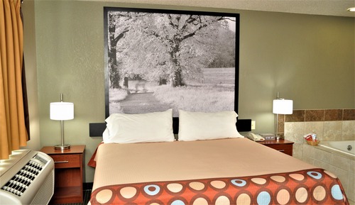 Suite estudio Premier, 1 cama de matrimonio grande, no fumadores (Pet-Friendly)