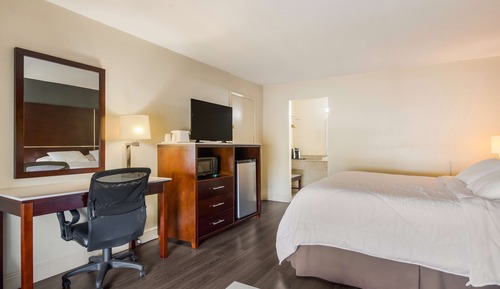 Habitación estándar, 1 cama de matrimonio grande, bañera