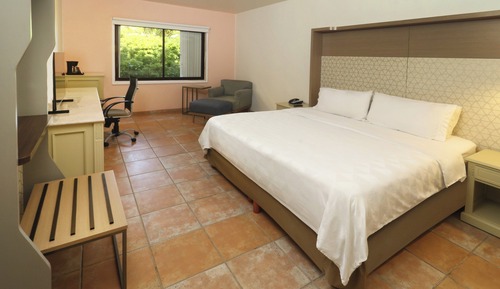 Suite, 1 cama de matrimonio grande