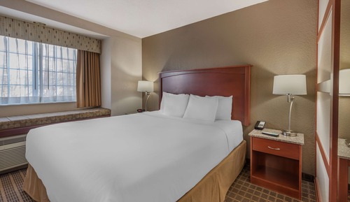 Suite, 1 cama de matrimonio grande, no fumadores, frigorífico y microondas (Pet Friendly)