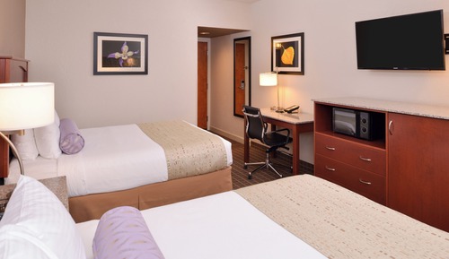 Habitación estándar, 2 camas de matrimonio, no fumadores (Pet Friendly;Small Room)