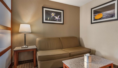 Suite, 1 cama de matrimonio grande, frigorífico y microondas, vistas a la montaña
