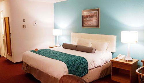 Habitación, 1 cama de matrimonio, no fumadores (Pet Friendly)