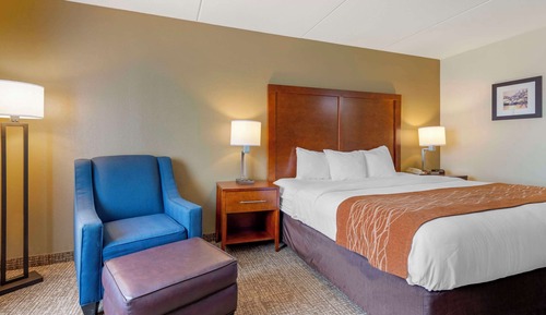 Habitación estándar, 1 cama de matrimonio grande, no fumadores