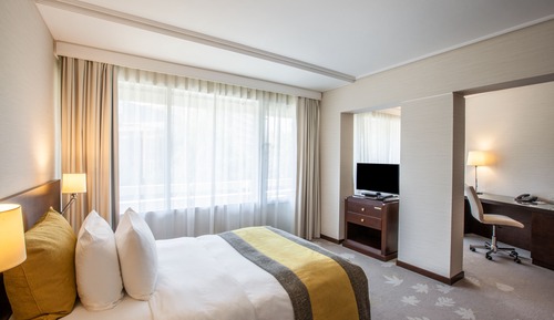 Habitación estándar, 1 cama individual, accesible para personas con discapacidad