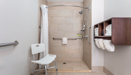 Habitación estándar, 1 cama de matrimonio grande, ducha adaptada (Mobility Roll-In Shower)