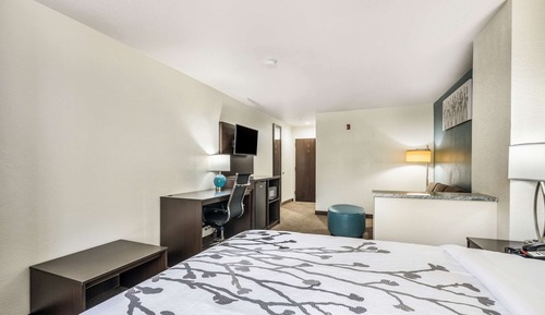 Suite, 1 cama de matrimonio, no fumadores