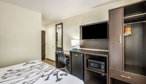 Habitación estándar, 1 cama de matrimonio, no fumadores