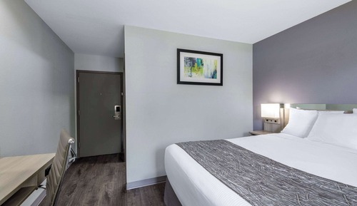 Habitación estándar, 1 cama de matrimonio