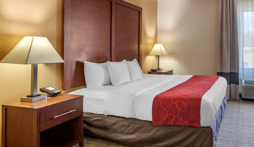 Suite, 1 cama de matrimonio grande, no fumadores (No Pets)