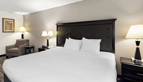 Habitación estándar, 1 cama de matrimonio grande, no fumadores (Pet Friendly)