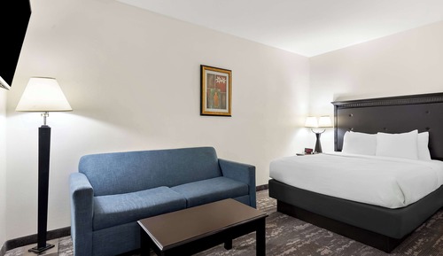 Habitación estándar, varias camas, no fumadores (Pet Friendly;with Sofabed)