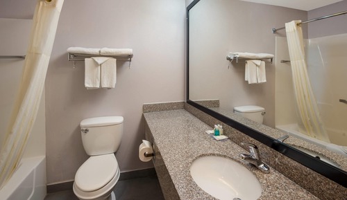Habitación estándar, 1 cama de matrimonio grande, no fumadores