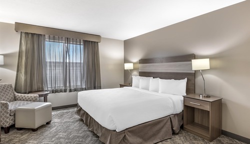 Habitación estándar, 1 cama de matrimonio grande, frigorífico y microondas