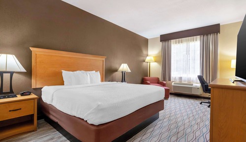 Habitación estándar, 1 cama de matrimonio grande, no fumadores, frigorífico y microondas