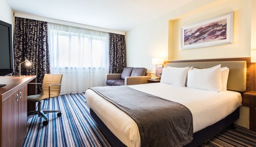 Habitación estándar, 1 cama doble con sofá cama