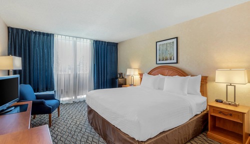 Standard Room, 1King Bed, Non Smoking