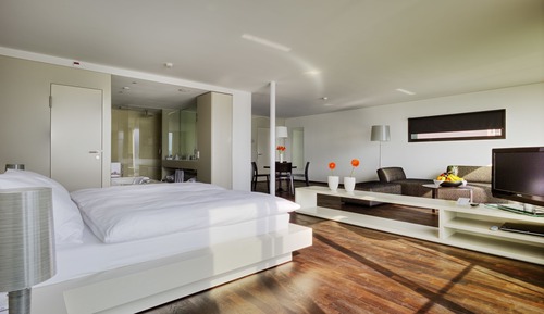 Suite Deluxe, vistas al lago (Lake View)