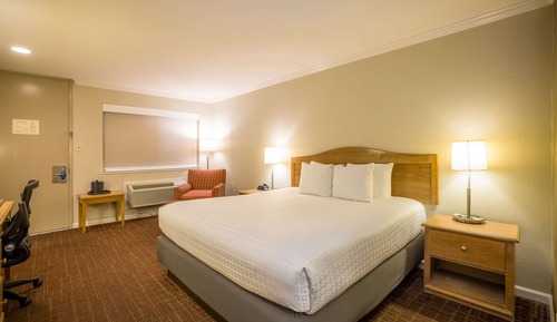 Habitación estándar, 1 cama de matrimonio grande, no fumadores, frigorífico y microondas