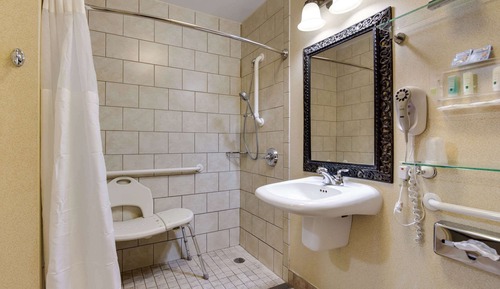 Habitación, 1 cama de matrimonio, accesible para personas con discapacidad (Roll-In Shower)