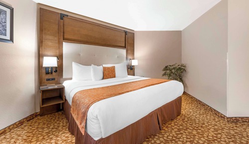 Suite, 1 cama de matrimonio grande, no fumadores, frigorífico y microondas