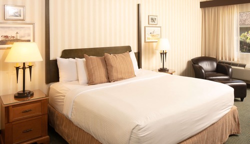 Habitación estándar, 1 cama de matrimonio grande