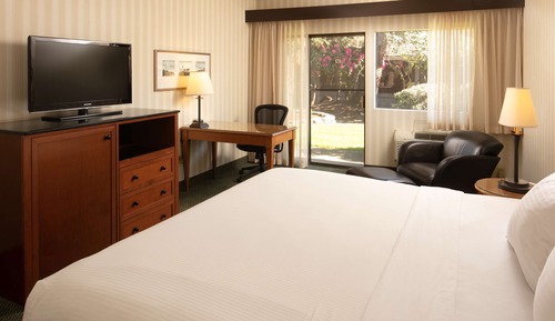 Habitación Premium, 1 cama de matrimonio grande