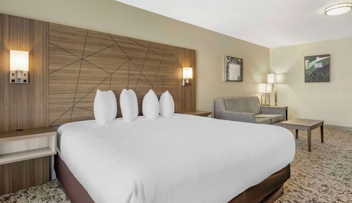 Habitación estándar, 1 cama de matrimonio grande, no fumadores, frigorífico y microondas