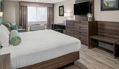 Suite, 1 cama de matrimonio grande con sofá cama