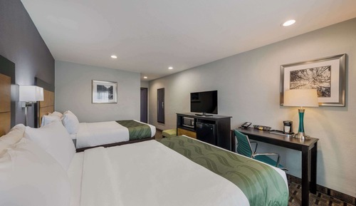 Habitación estándar, 2 camas de matrimonio, no fumadores