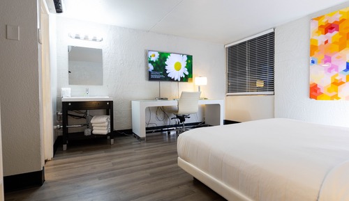 Suite clásica, 1 cama de matrimonio grande