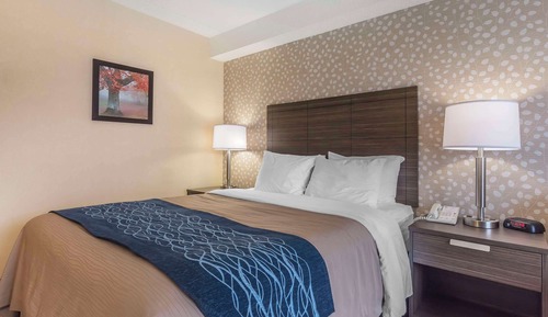 Deluxe Queen Room with Sofa Bed, Ground Floor