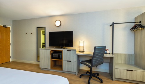 Habitación Deluxe, 1 cama de matrimonio grande con sofá cama, frigorífico y microondas, planta baja
