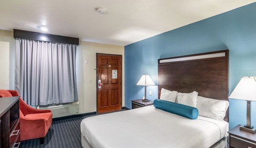 1 King Bed