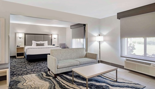 Suite, 1 cama de matrimonio grande, no fumadores, frigorífico y microondas