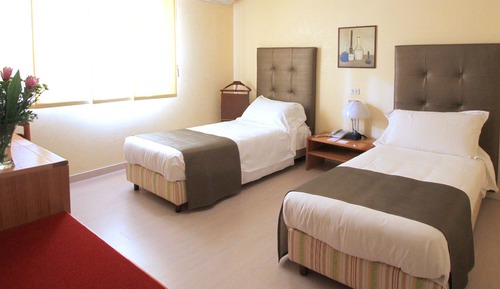 Habitación estándar con 2 camas individuales (Single Use)