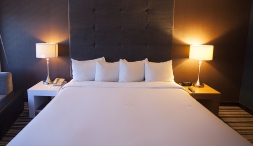  King Premier Room, 1  king bed 