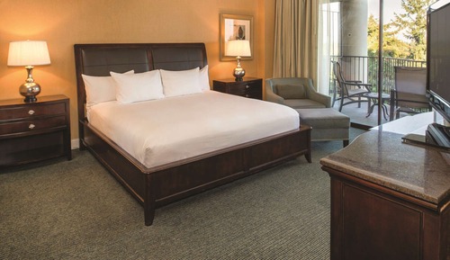 Suite Premium, 1 cama de matrimonio grande, vistas a la montaña