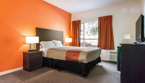 Suite estándar, 1 cama de matrimonio grande, no fumadores, cocina básica