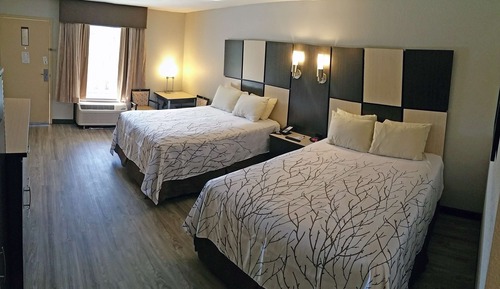 Habitación estándar, 2 camas de matrimonio, no fumadores, frigorífico y microondas
