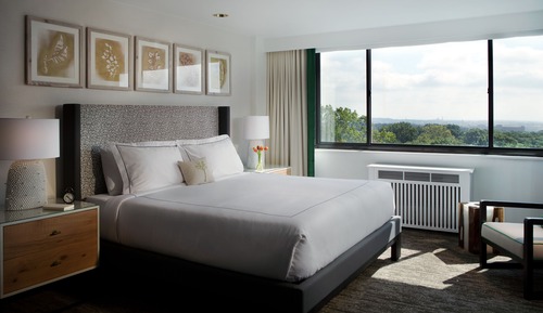 Estudio, 1 cama de matrimonio grande, cocina básica