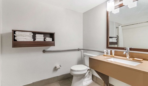 Habitación, 1 cama de matrimonio grande, accesible para personas con discapacidad, no fumadores