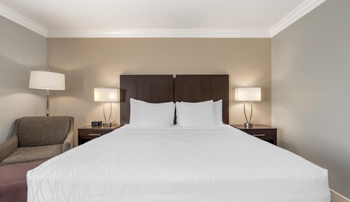 Habitación estándar, 1 cama de matrimonio grande, no fumadores, frigorífico y microondas